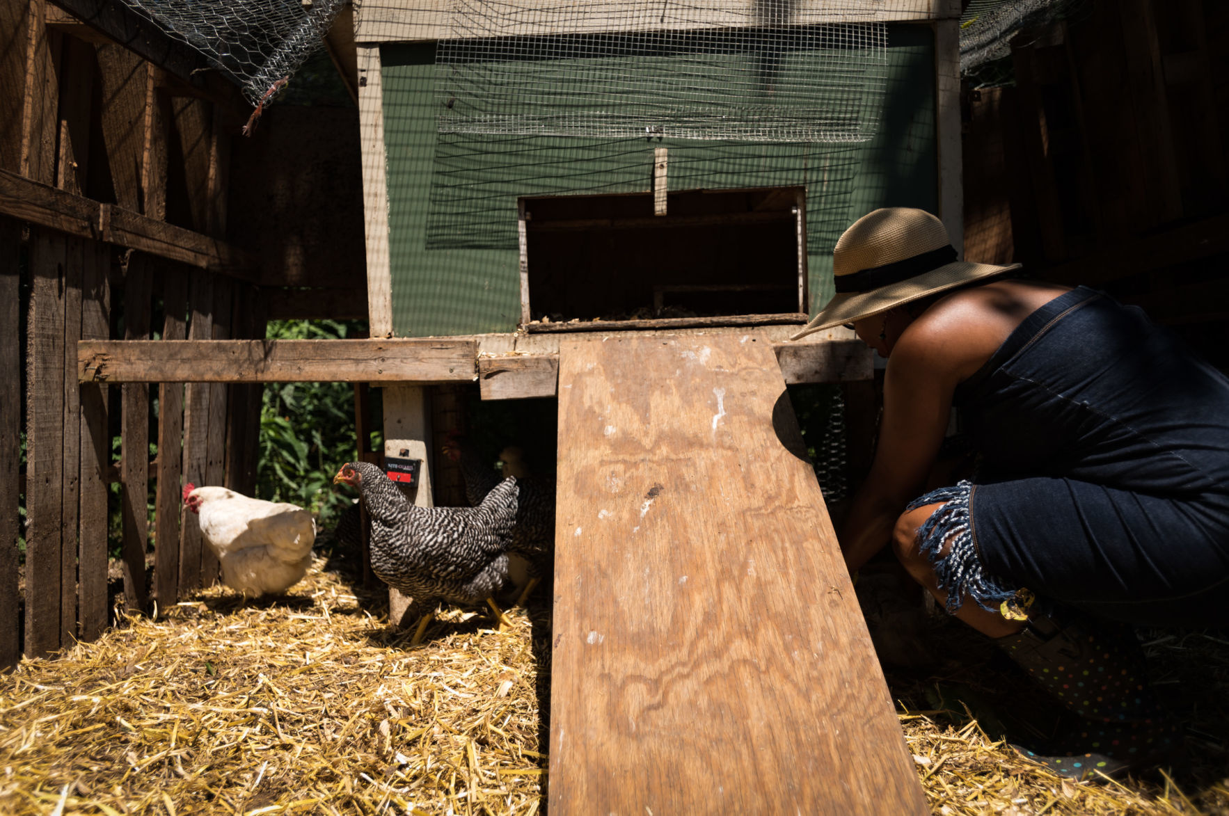 Mother's Finest Urban Family Farms
